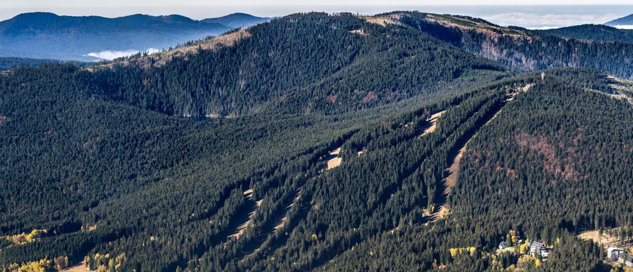 Ilustrační obrázek