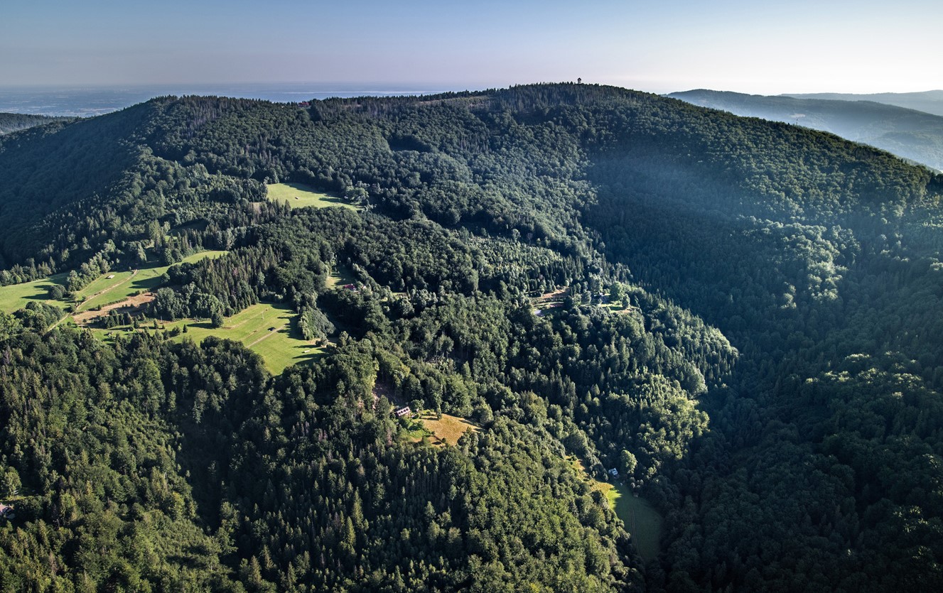 Ilustrační obrázek