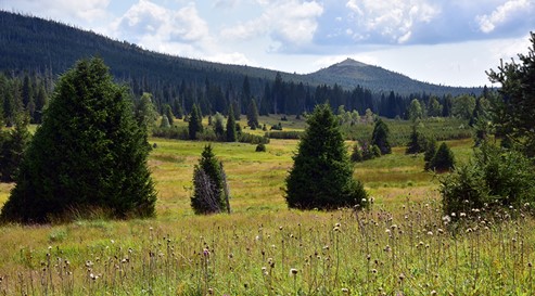 Ilustrační obrázek