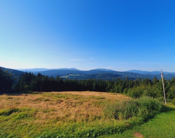 Ilustrační obrázek