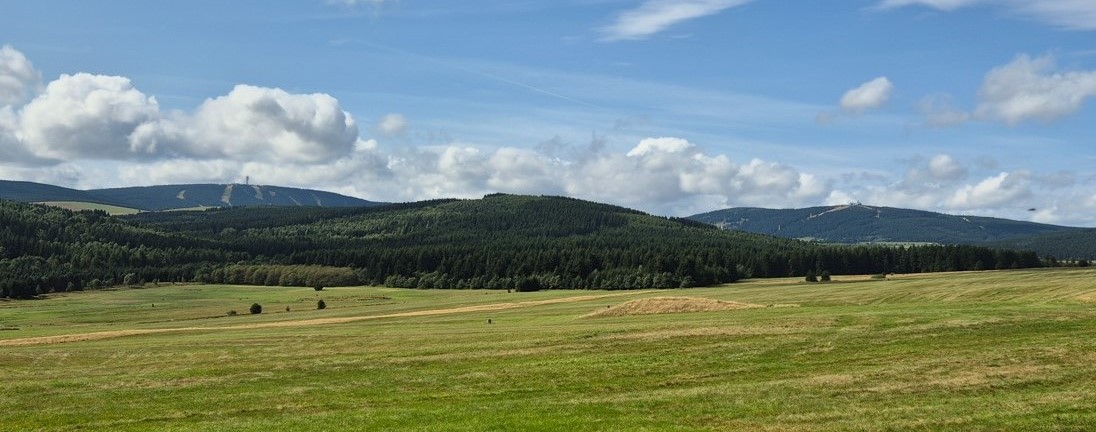 Ilustrační obrázek