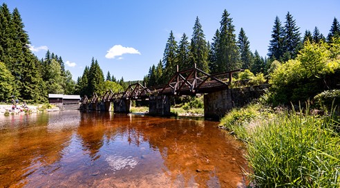 Ilustrační obrázek