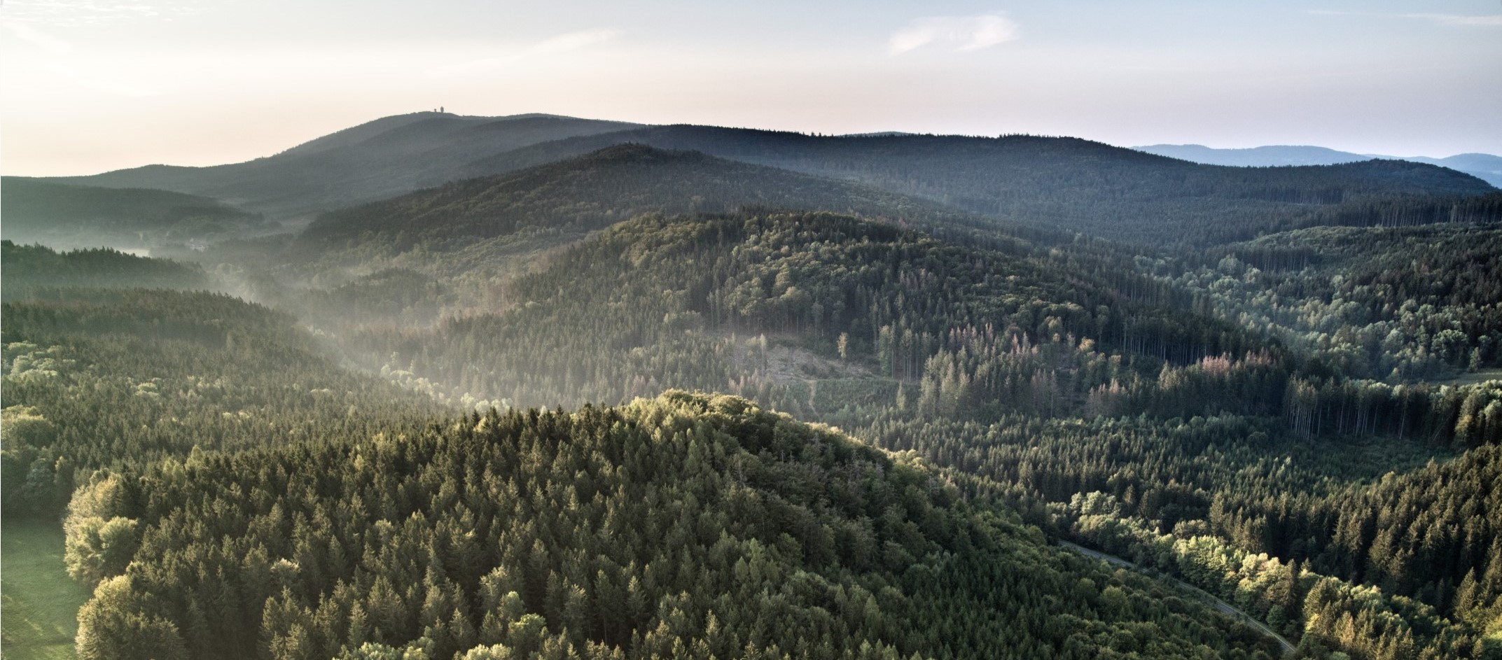 Ilustrační obrázek