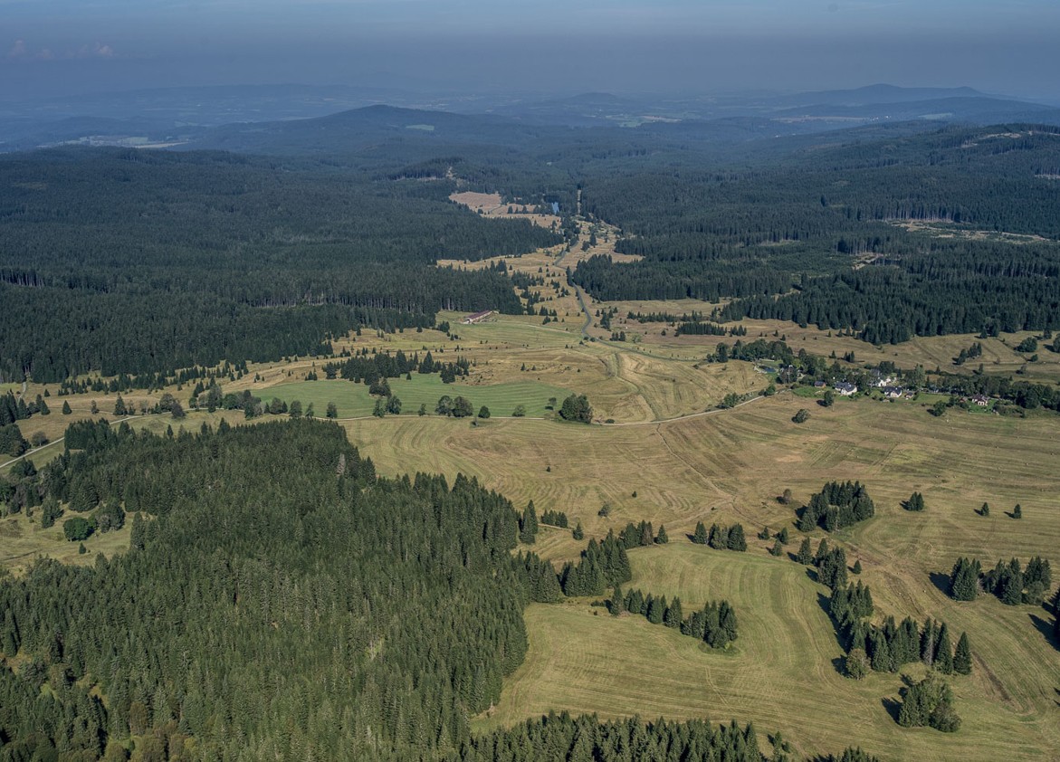 Ilustrační obrázek