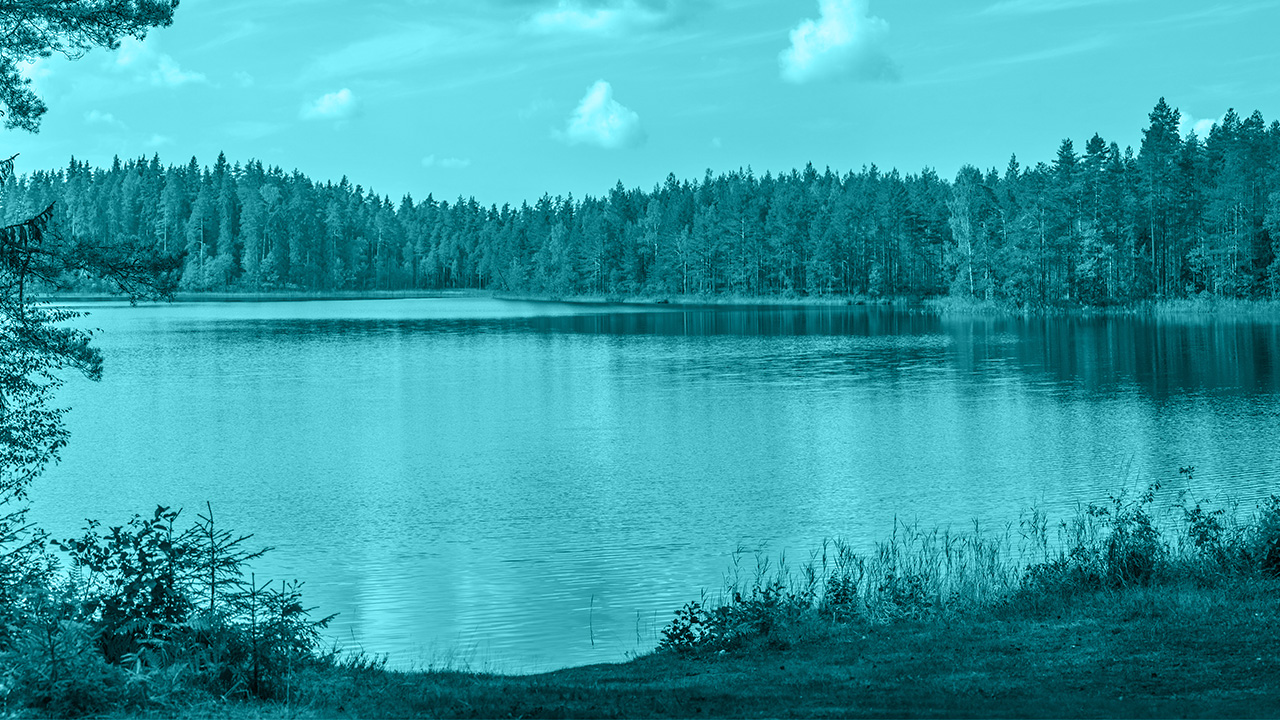 Ilustrační obrázek