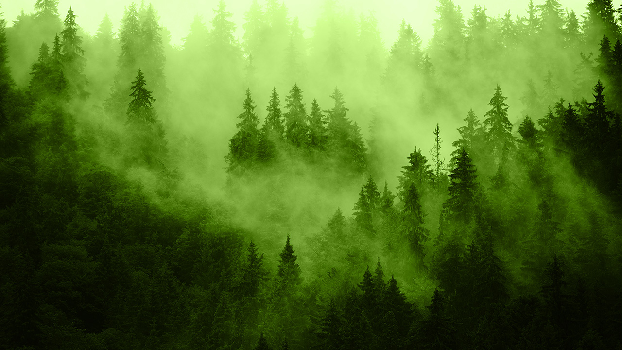 Ilustrační obrázek