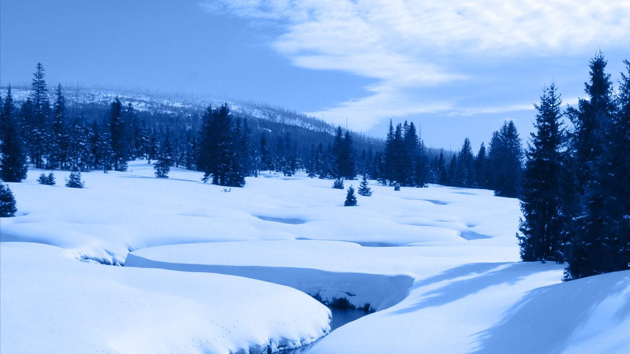 Ilustrační obrázek