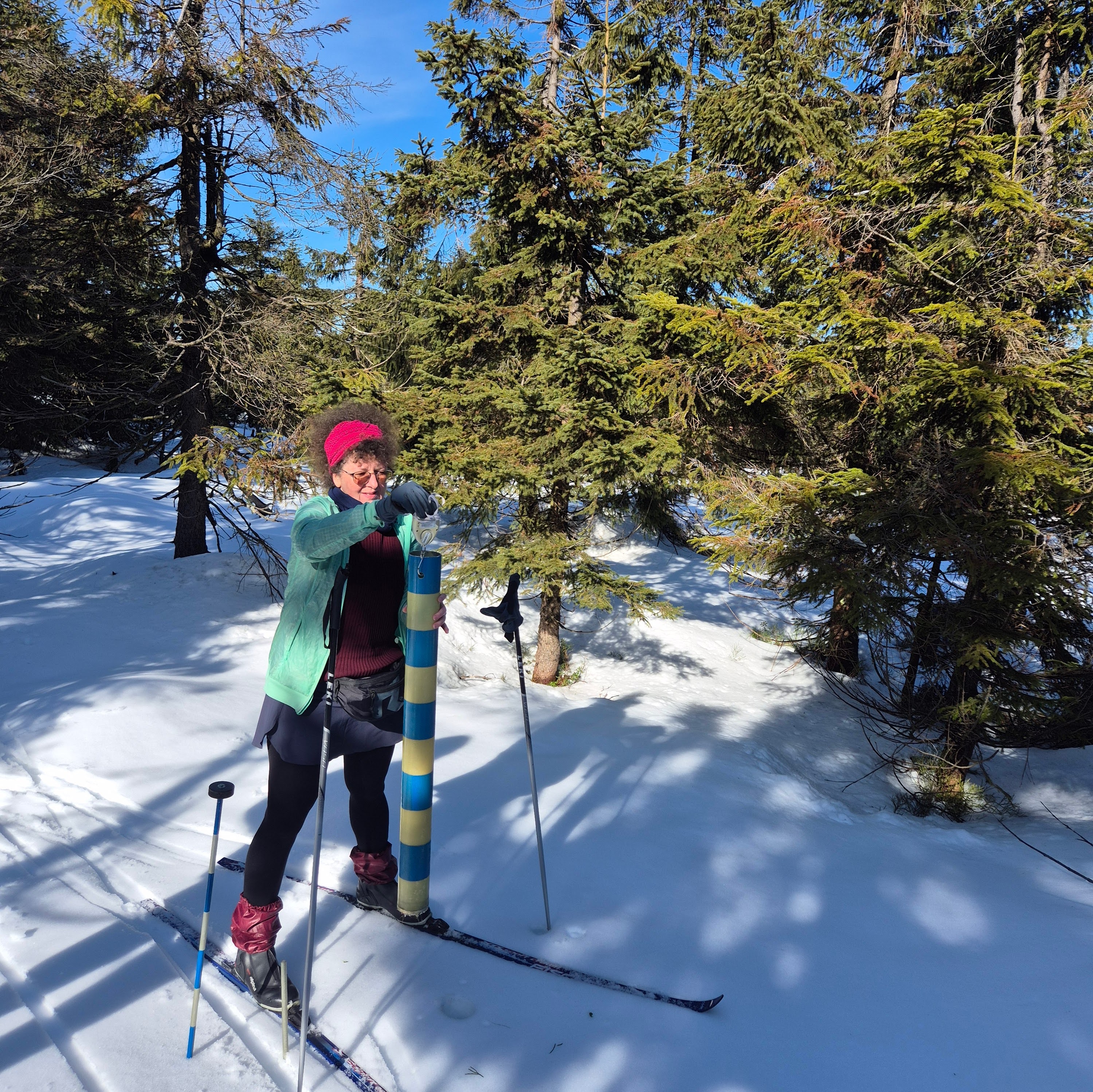 Ilustrační obrázek