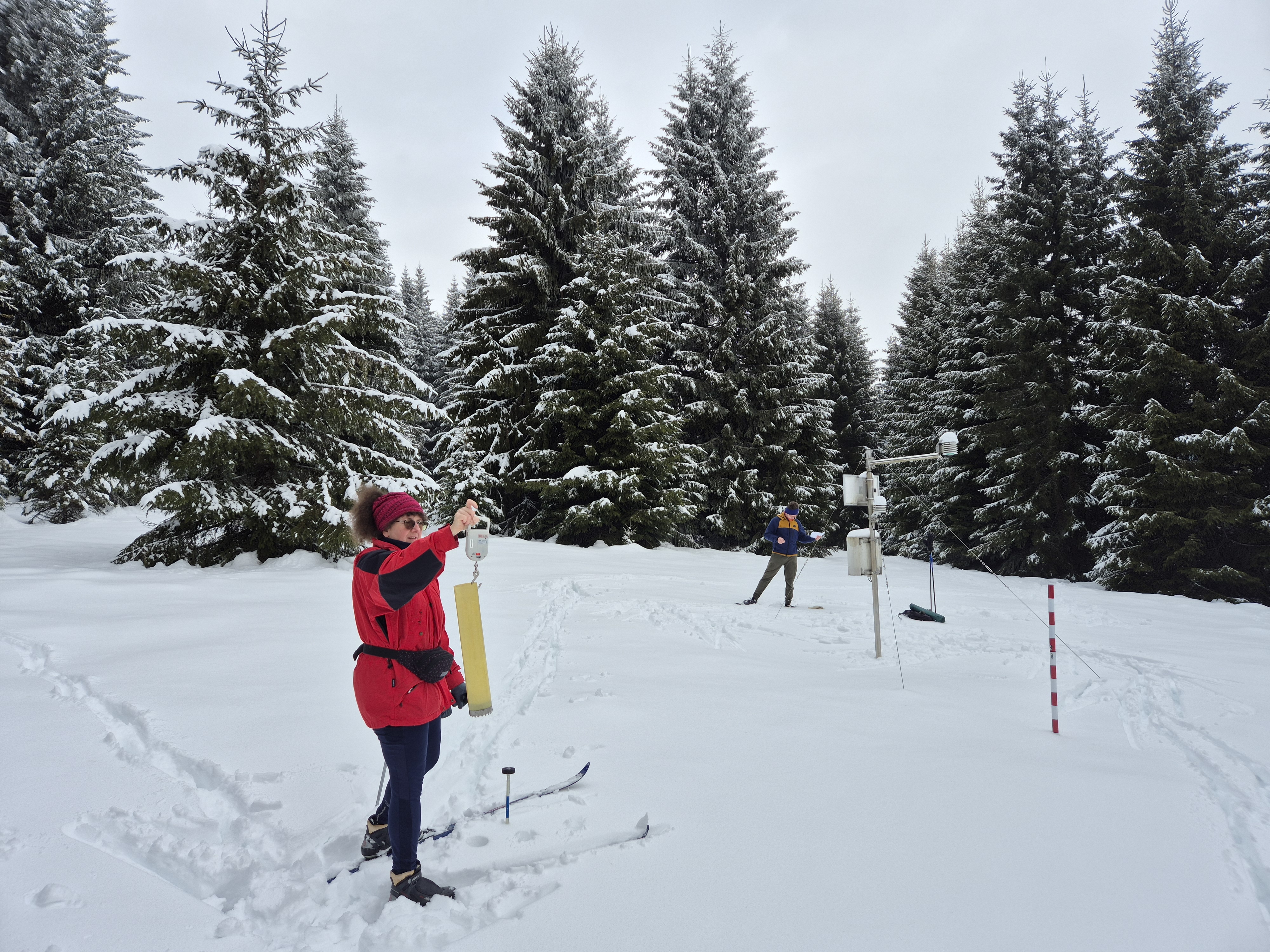 Ilustrační obrázek