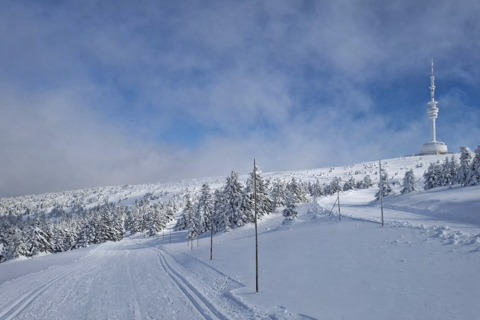 Ilustrační obrázek