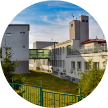 Ilustrační obrázek