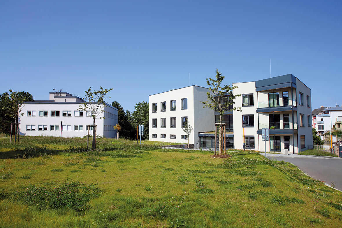 Ilustrační obrázek