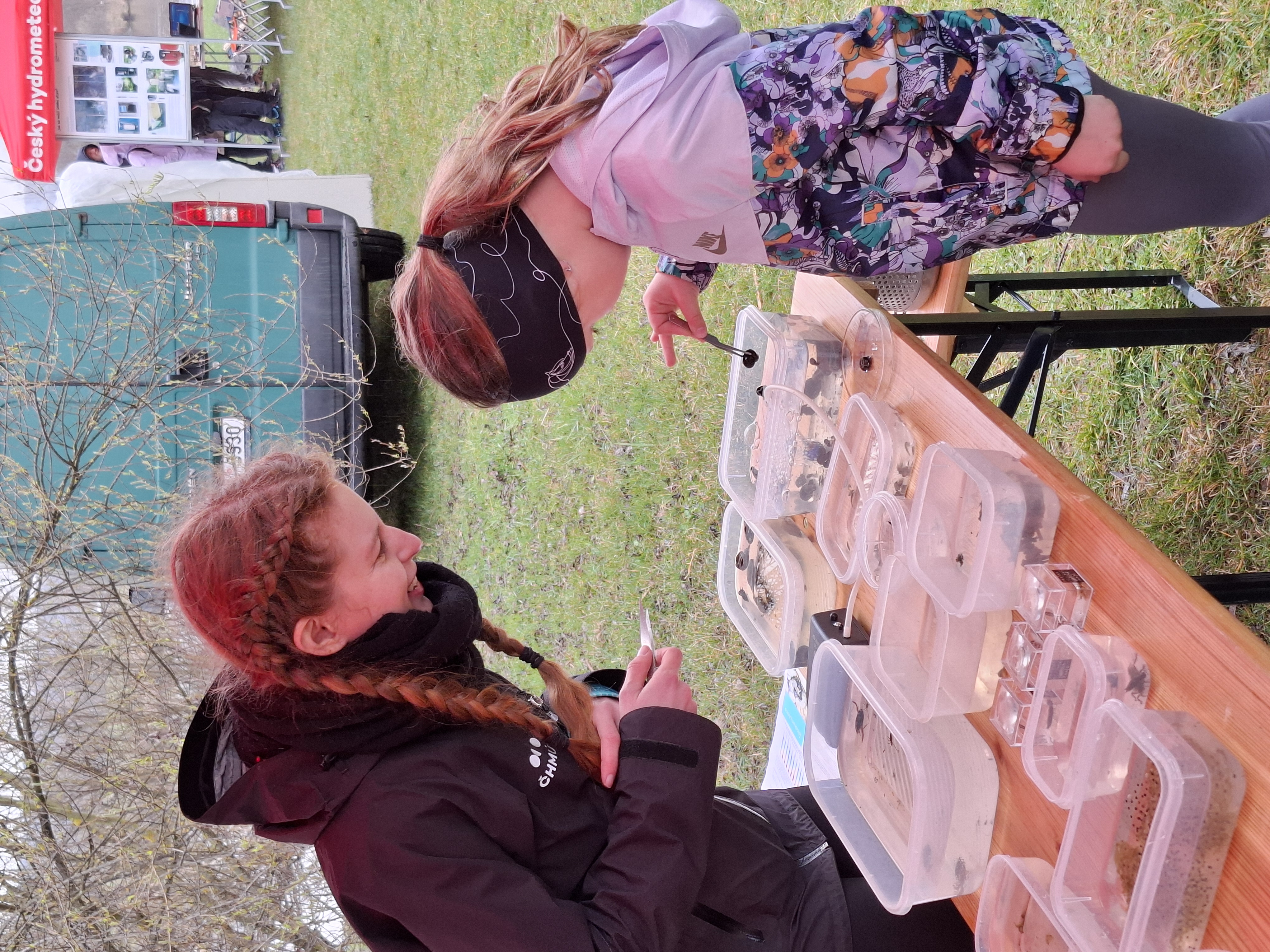 Ilustrační obrázek