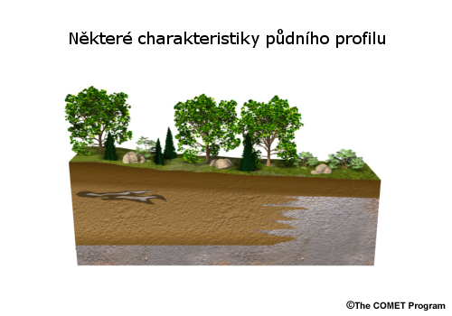 Graphic showing the different basic characteristics of a soil profile.