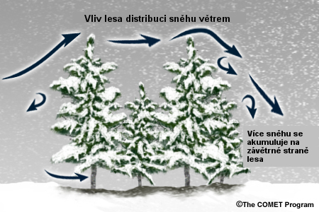 Impact of airflow in forests during snow and blowing snow