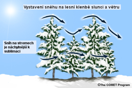 Illustration of how snow in the forest canopy is more expose to the effects of wind and sun