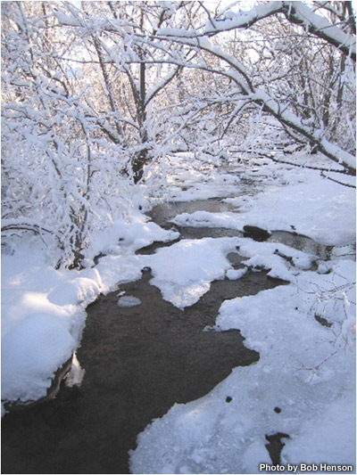 A stream moving through a wooded area that is snow-covered