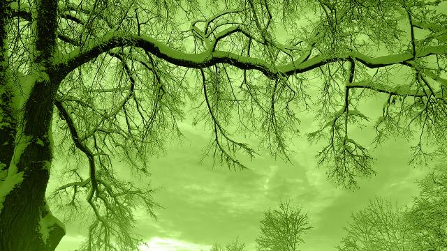 ilustrační obrázek