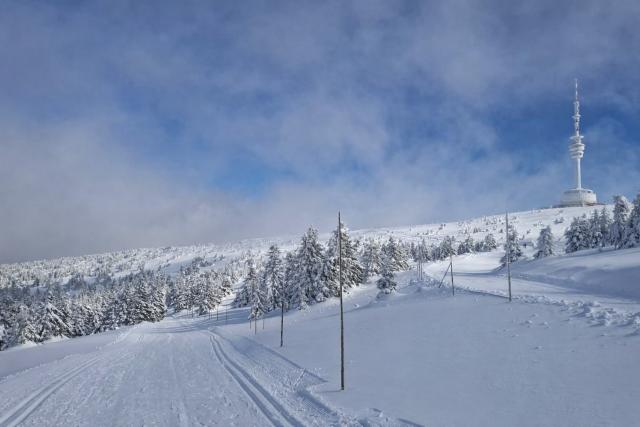 ilustrační obrázek Pradědu