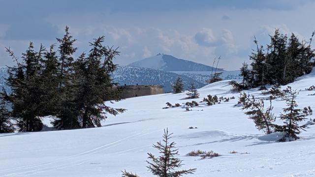 Ilustrační obrázek