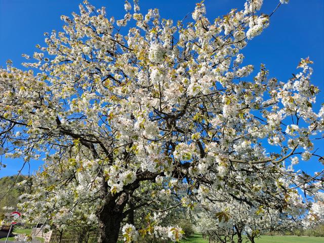 ilustrační obrázek